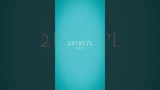 wides.pl dP9RNtD0BZY 