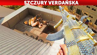 wides.pl dVySH95lKVE 
