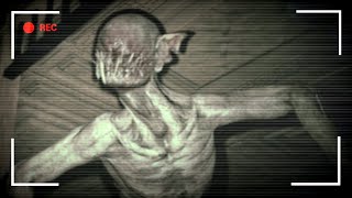 wides.pl dWGUqPEPEP0 