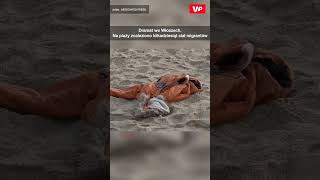 wides.pl daIt6PNAwd4 