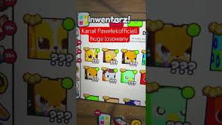 wides.pl dk_cIDFVEXI 