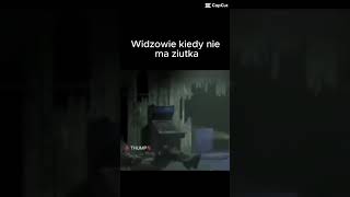 wides.pl dw-guAJ5gNE 