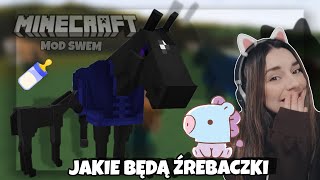 wides.pl e-V1O4nsjqc 