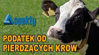 wides.pl e30ycysvnyk 