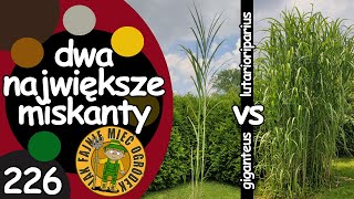 wides.pl eLsh2hMs2QU 