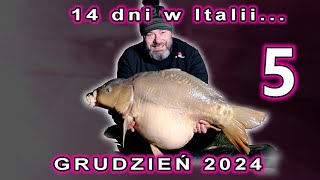 wides.pl ehWaHljDcdc 