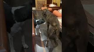 wides.pl exRhay86p5o 