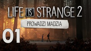 wides.pl fUsnrb_1YvQ 