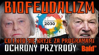 wides.pl fZ-2vIScdsY 