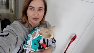 wides.pl fqZIoHH-YnQ 