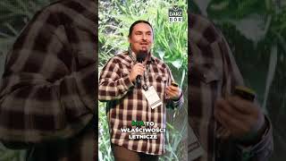 wides.pl fvSU6Ok02mI 