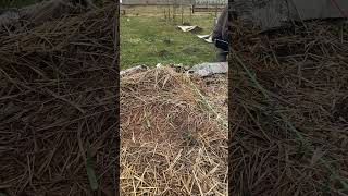 wides.pl g1aMLtj09HQ 