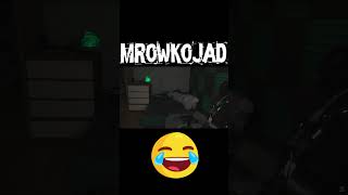 wides.pl g6pjDDvhs9g 