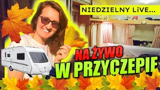 wides.pl gIErzpZAV7g 