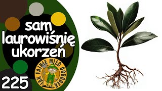 wides.pl gaCgQ6i7M3w 