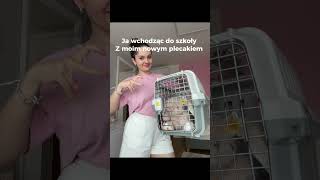 wides.pl goo2PInzBDg 