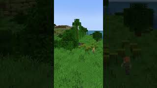 wides.pl gp6HkehCznk 
