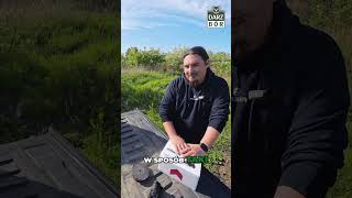 wides.pl gzF_eF4TjAA 