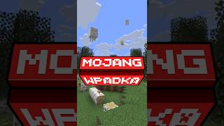 wides.pl h2_C2gWn4ak 