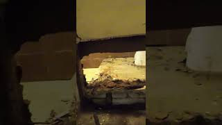wides.pl hMUh_z5FqOU 