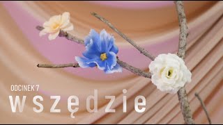 wides.pl hZF1zopMAqI 