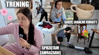 wides.pl hpLoOro1MZQ 
