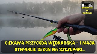 wides.pl i-95jRXl5LI 