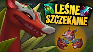wides.pl i47nk__TPvw 