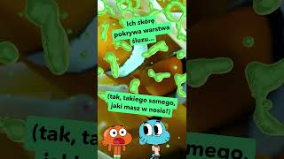 wides.pl icNPuVsnf9A 