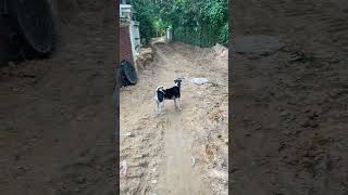 wides.pl jIKJTkey_tM 