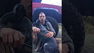 wides.pl js5CstKaY8A 