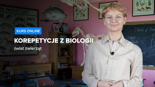 wides.pl kCmFv7MLPk0 