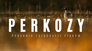 wides.pl kEGQ36ZNT9M 