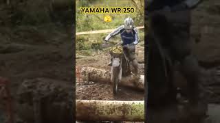 wides.pl kqTZgA6hPQs 