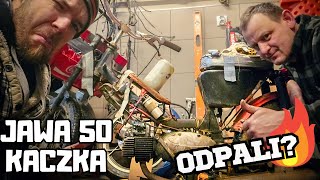 wides.pl krJlkN_nkTA 