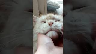 wides.pl lHyyVKGSW0E 