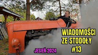 wides.pl lN_Lh6DtvJQ 