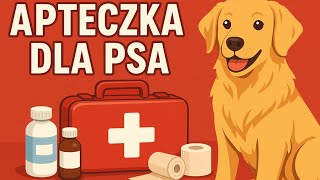 wides.pl lgs1BZEZkx4 