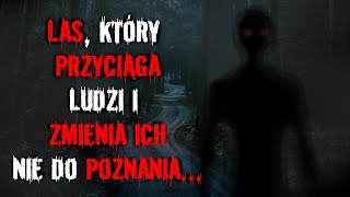 wides.pl lz7nEYOTMjI 