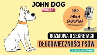 wides.pl m1a8JxVkmxA 