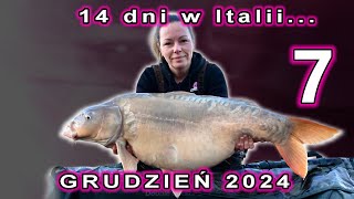 wides.pl mHdQnE7Vucg 