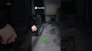 wides.pl mUcut7pWEdo 