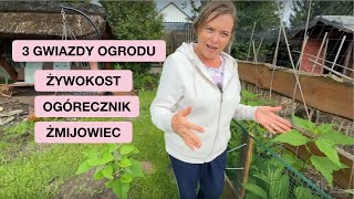 wides.pl meSuGE4EYEg 