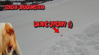 wides.pl myd0LF2CM2o 