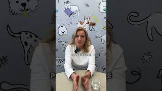 wides.pl nHwgVOa0s-k 
