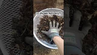 wides.pl nzw1tcPiMUI 
