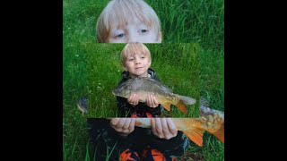 wides.pl oCFkcNUWk2o 