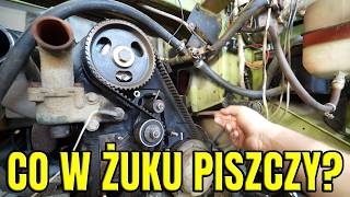wides.pl oDjB03O6-v8 