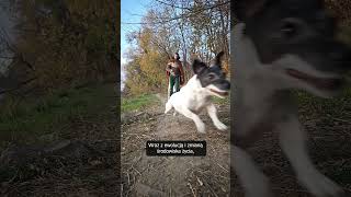wides.pl oT9WuazkX9o 