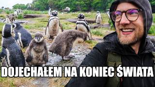 wides.pl ooNEcr-VgP0 